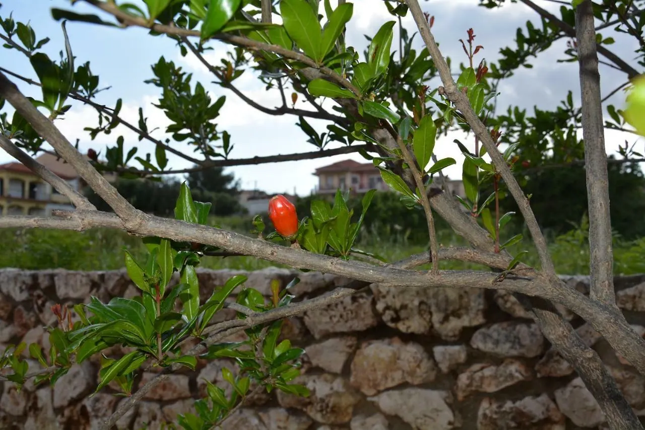 Lotus Sea View Apartments Lixouri Greece