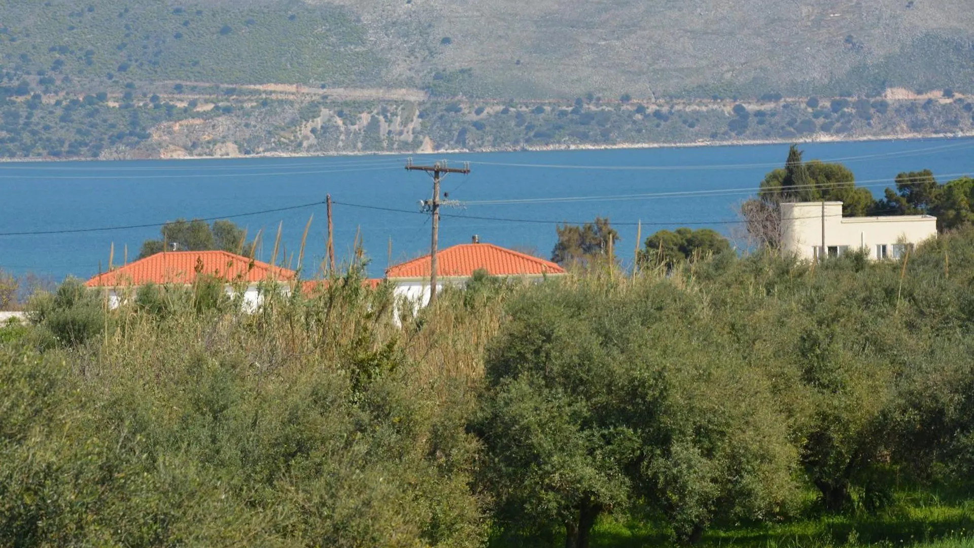 Lotus Sea View Apartments Lixouri Grekland